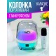 Портативная колонка N29 (Караоке), арт.013211