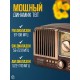 Портативная FM колонка NS-3381BT, арт.013229