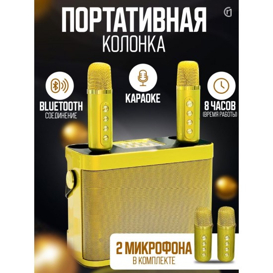 Портативная колонка YS-219 (караоке), арт.013234