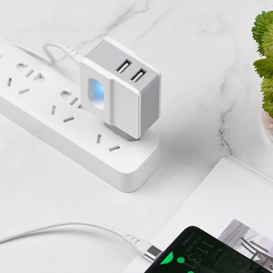 Сетевое зарядное устройство 2 в 1 Hoco C75 на 2 USB, кабель Lightning, арт.011670